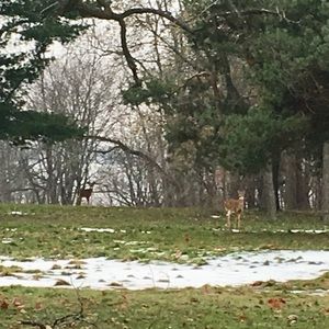 Meet your Posher, Sevrine